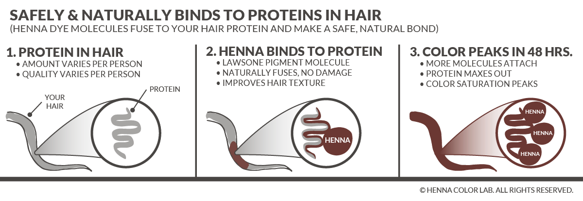 how-henna-hair-dye-works
